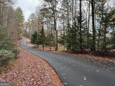 Lake Lot For Sale in Ellijay, Georgia