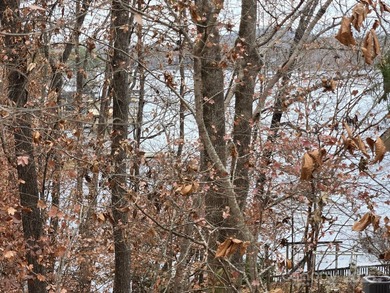 This vacant waterfront lot is located in the Dixie Shores - photo 2