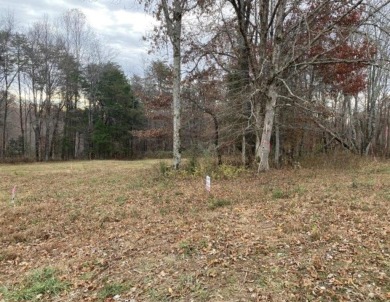 Lake Acreage For Sale in Gainesboro, Tennessee