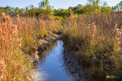 Patten Springs Ranch is a rare large acreage offering in Central - photo 11