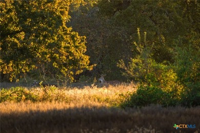 Patten Springs Ranch is a rare large acreage offering in Central - photo 12