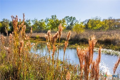 Patten Springs Ranch is a rare large acreage offering in Central - photo 13