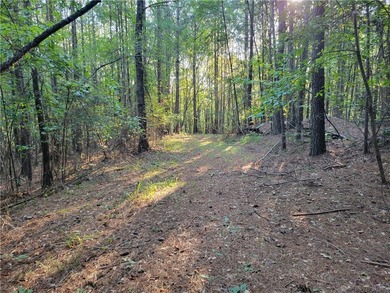 Come see this amazing piece of acreage! Over 25 acres of - photo 14