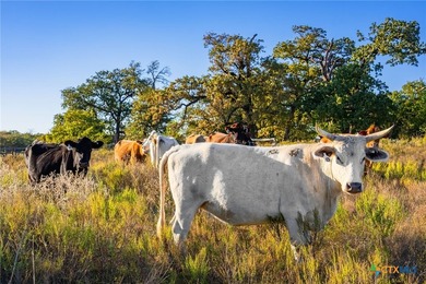 Patten Springs Ranch is a rare large acreage offering in Central - photo 15