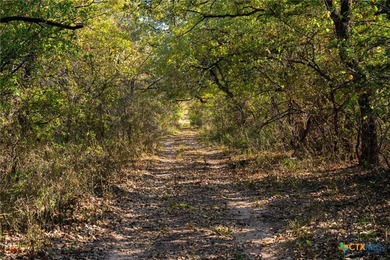 Patten Springs Ranch is a rare large acreage offering in Central - photo 19