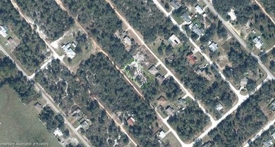 Build your future in growing Avon Park! This natural vacant lot - photo 2