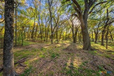Patten Springs Ranch is a rare large acreage offering in Central - photo 22
