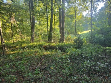 Come see this amazing piece of acreage! Over 25 acres of - photo 22