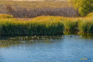 Patten Springs Ranch is a rare large acreage offering in Central - photo 23