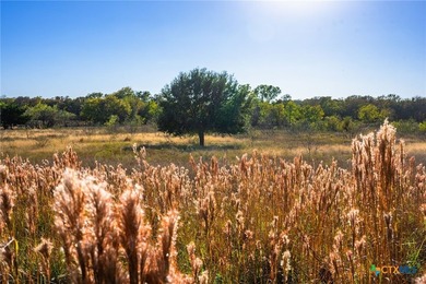 Patten Springs Ranch is a rare large acreage offering in Central - photo 24
