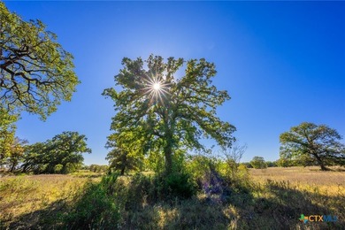 Patten Springs Ranch is a rare large acreage offering in Central - photo 29
