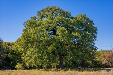 Patten Springs Ranch is a rare large acreage offering in Central - photo 30