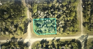Lehigh Acres Area Lot For Sale in Lehigh Acres Florida