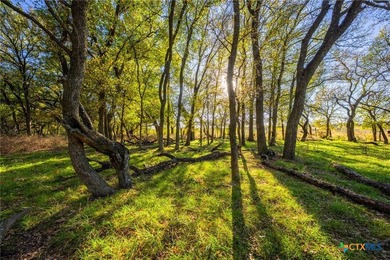 Patten Springs Ranch is a rare large acreage offering in Central - photo 32