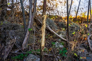 Patten Springs Ranch is a rare large acreage offering in Central - photo 35