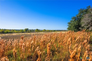 Patten Springs Ranch is a rare large acreage offering in Central - photo 36