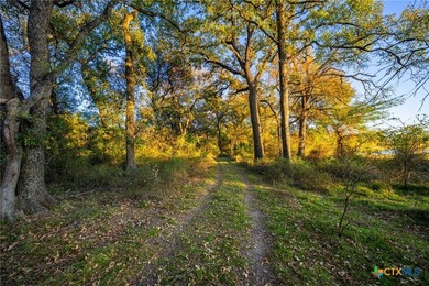 Patten Springs Ranch is a rare large acreage offering in Central - photo 37