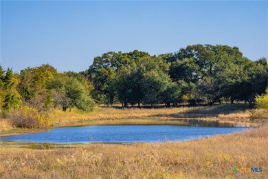 Patten Springs Ranch is a rare large acreage offering in Central - photo 38