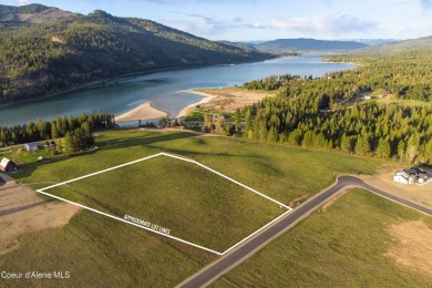 Lake Acreage For Sale in Priest River, Idaho