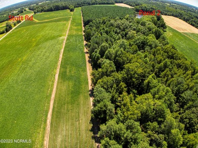 A ONE-OF-A-KIND-TROPHY FARM. GREAT LOCATION JUST 40 MINUTES TO - photo 19