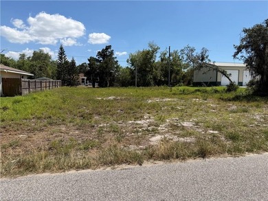 Lake June in Winter Lot For Sale in Lake Placid Florida