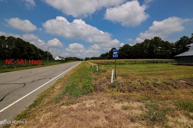 A ONE-OF-A-KIND-TROPHY FARM. GREAT LOCATION JUST 40 MINUTES TO - photo 23