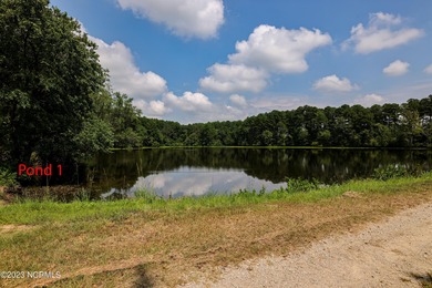 A ONE-OF-A-KIND-TROPHY FARM. GREAT LOCATION JUST 40 MINUTES TO - photo 24