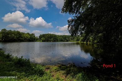 A ONE-OF-A-KIND-TROPHY FARM. GREAT LOCATION JUST 40 MINUTES TO - photo 25
