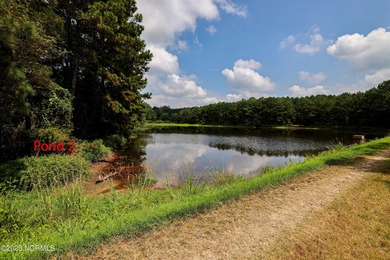 A ONE-OF-A-KIND-TROPHY FARM. GREAT LOCATION JUST 40 MINUTES TO - photo 26