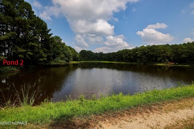 A ONE-OF-A-KIND-TROPHY FARM. GREAT LOCATION JUST 40 MINUTES TO - photo 27