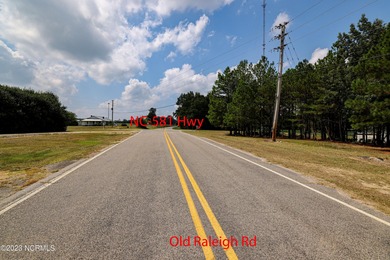 A ONE-OF-A-KIND-TROPHY FARM. GREAT LOCATION JUST 40 MINUTES TO - photo 32