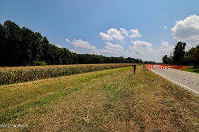 A ONE-OF-A-KIND-TROPHY FARM. GREAT LOCATION JUST 40 MINUTES TO - photo 35