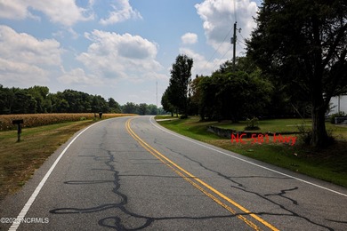 A ONE-OF-A-KIND-TROPHY FARM. GREAT LOCATION JUST 40 MINUTES TO - photo 38