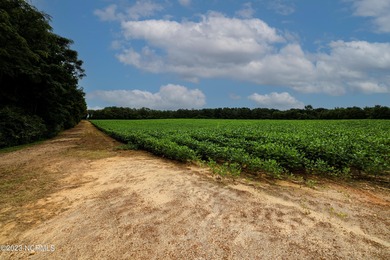 A ONE-OF-A-KIND-TROPHY FARM. GREAT LOCATION JUST 40 MINUTES TO - photo 39