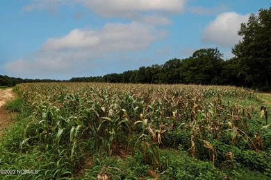 A ONE-OF-A-KIND-TROPHY FARM. GREAT LOCATION JUST 40 MINUTES TO - photo 40