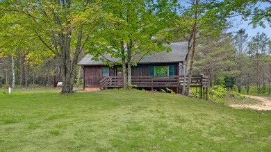 Lake Home Sale Pending in Tustin, Michigan