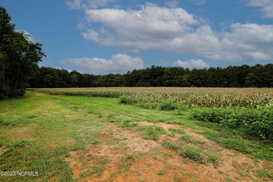 A ONE-OF-A-KIND-TROPHY FARM. GREAT LOCATION JUST 40 MINUTES TO - photo 41