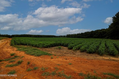 A ONE-OF-A-KIND-TROPHY FARM. GREAT LOCATION JUST 40 MINUTES TO - photo 42