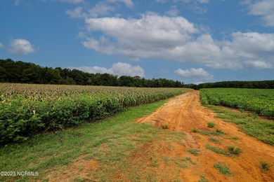 A ONE-OF-A-KIND-TROPHY FARM. GREAT LOCATION JUST 40 MINUTES TO - photo 43
