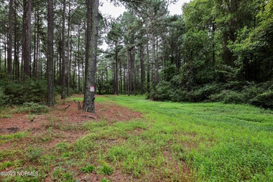 A ONE-OF-A-KIND-TROPHY FARM. GREAT LOCATION JUST 40 MINUTES TO - photo 45