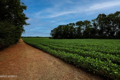 A ONE-OF-A-KIND-TROPHY FARM. GREAT LOCATION JUST 40 MINUTES TO - photo 46