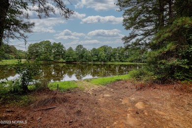 A ONE-OF-A-KIND-TROPHY FARM. GREAT LOCATION JUST 40 MINUTES TO - photo 47