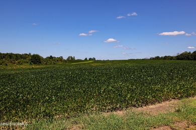 A ONE-OF-A-KIND-TROPHY FARM. GREAT LOCATION JUST 40 MINUTES TO - photo 48