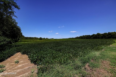 A ONE-OF-A-KIND-TROPHY FARM. GREAT LOCATION JUST 40 MINUTES TO - photo 49