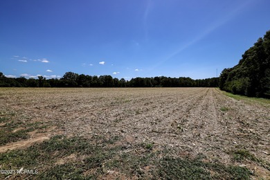 A ONE-OF-A-KIND-TROPHY FARM. GREAT LOCATION JUST 40 MINUTES TO - photo 50