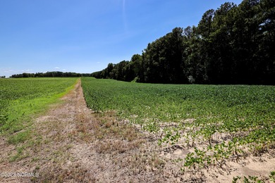 A ONE-OF-A-KIND-TROPHY FARM. GREAT LOCATION JUST 40 MINUTES TO - photo 53