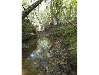 (private lake, pond, creek) Acreage For Sale in Sontag Mississippi