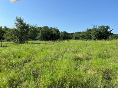160 acres of great deer hunting and cattle running pasture - photo 6