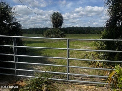 53+/- ACRES in PRIME Ormond Beach location in Volusia County - photo 7