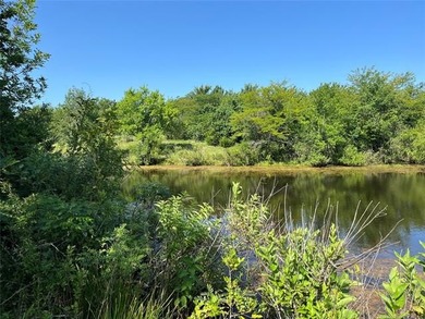 160 acres of great deer hunting and cattle running pasture - photo 7